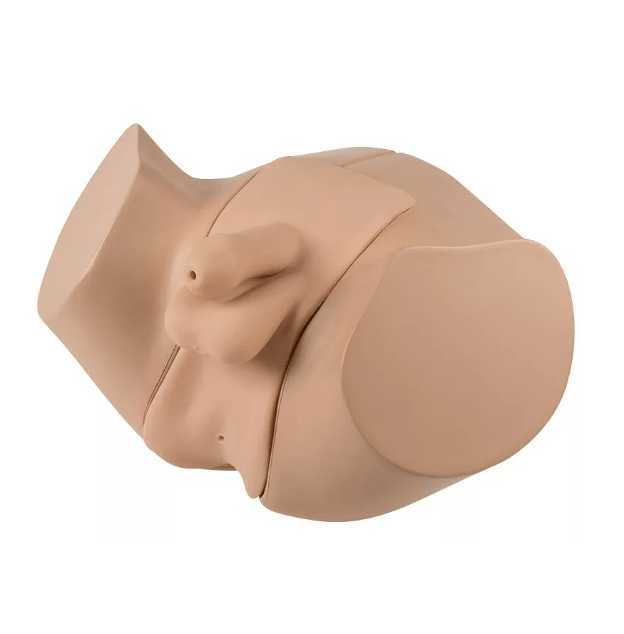 Männliches Blasenkatheter - und Einlauf - Übungsmodell - Erler - Zimmer